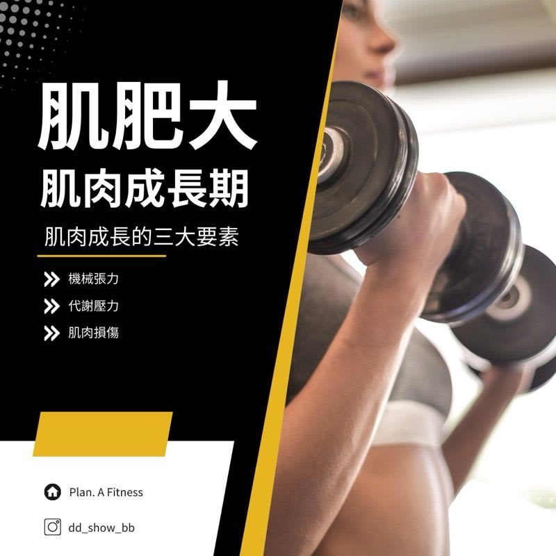 圖片來源：Show教練的訓練筆記