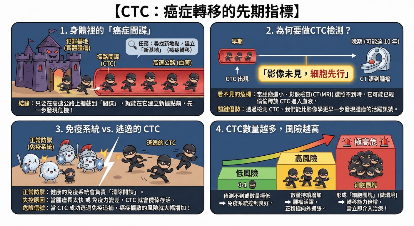 什麼是CTC？｜製圖：健身遊牧 X Gemini