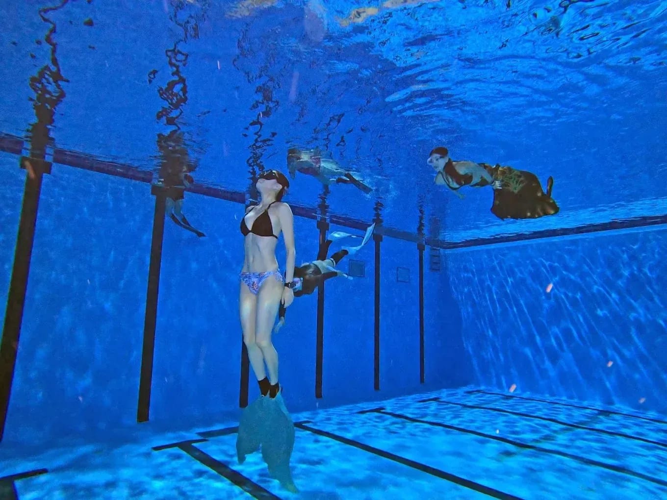 北區國民運動中心        