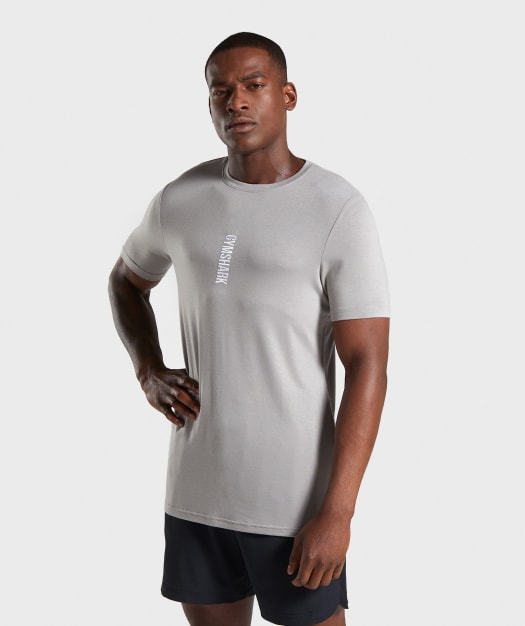 Gymshark Shadow T-Shirt - Grey
