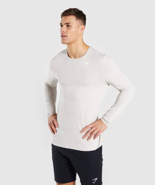 Gymshark Critical Long Sleeve T-Shirt - Grey