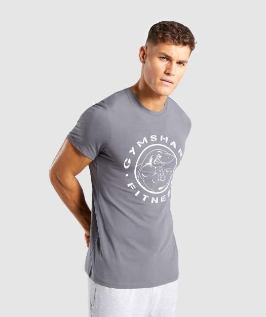 Gymshark Legacy T-Shirt - Smokey Grey