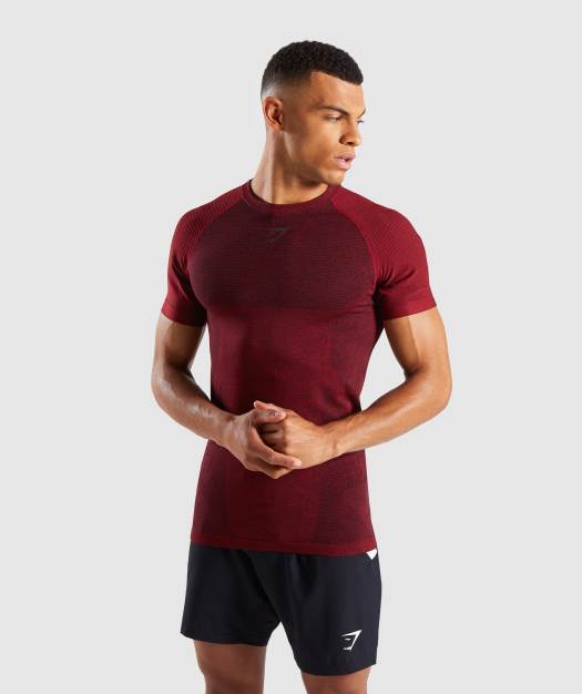 Gymshark Premium Seamless T-Shirt - Red Marl