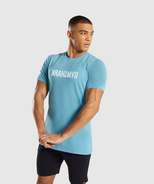 Gymshark Reverse T-Shirt - Dusky Teal