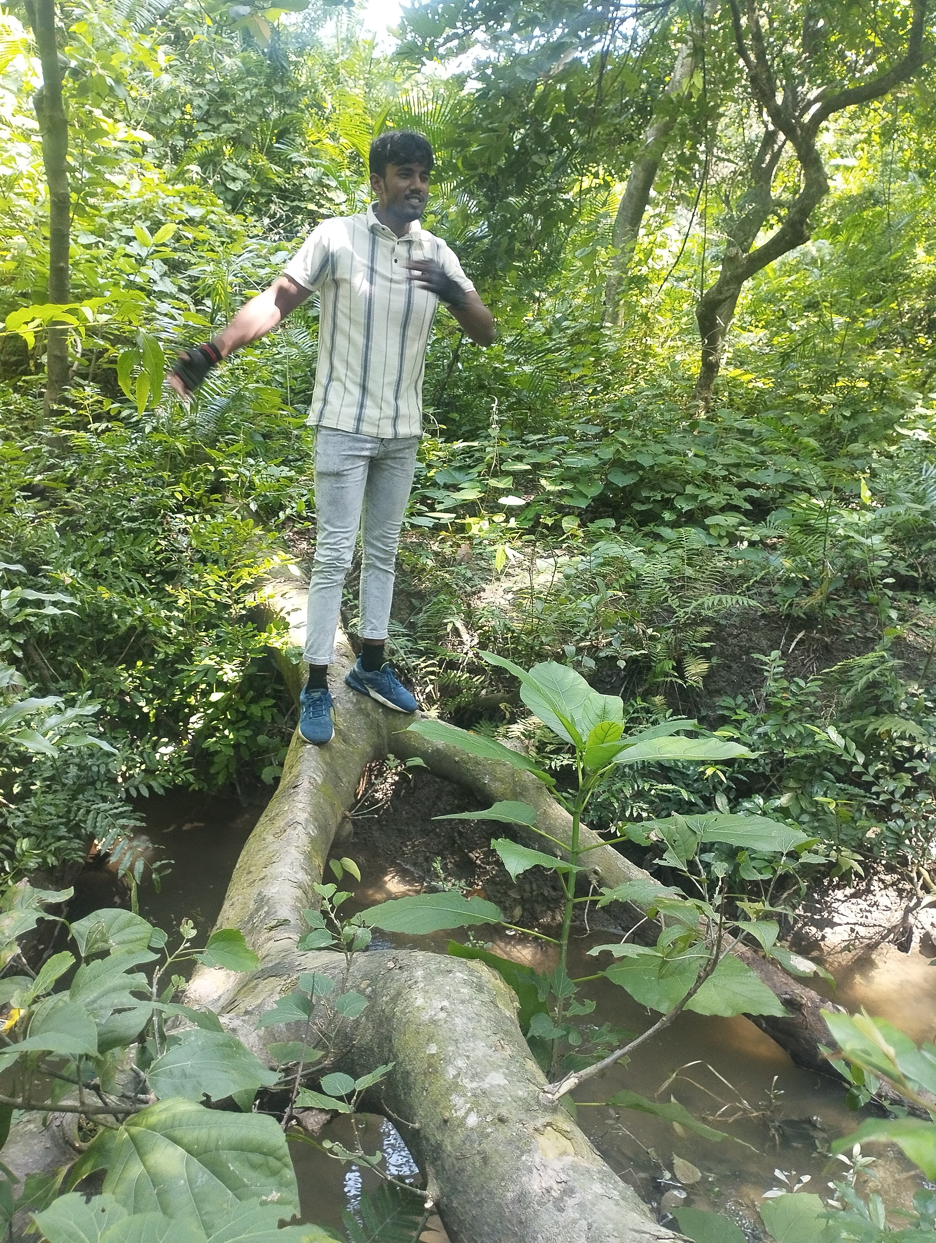 Valmiki Tiger Reserve