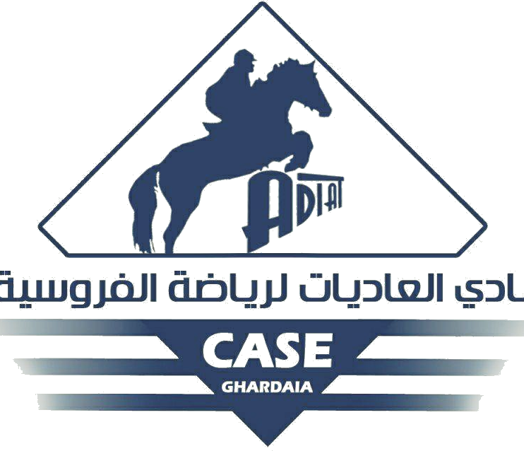 Winner School logo