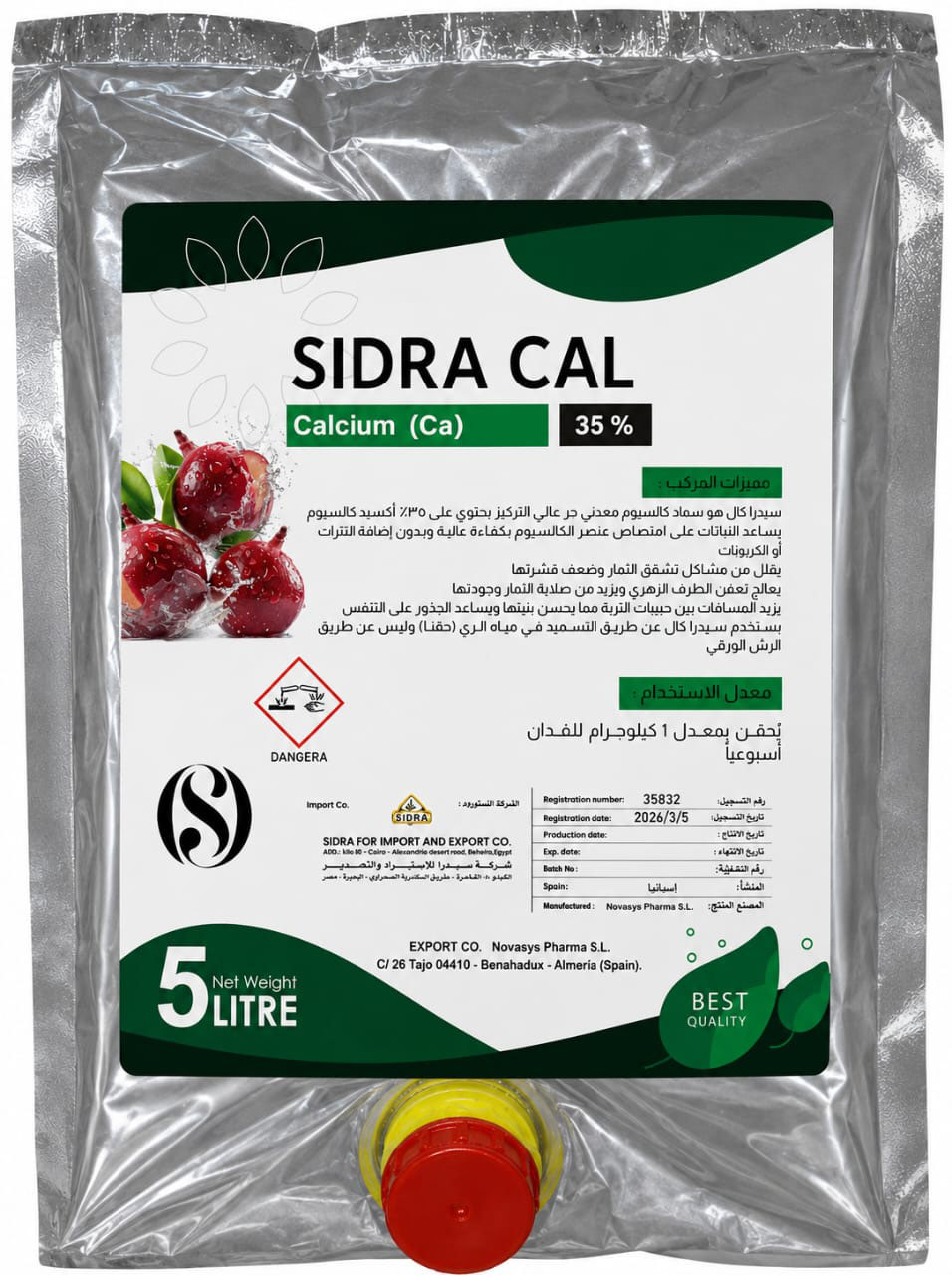 سدرا كل