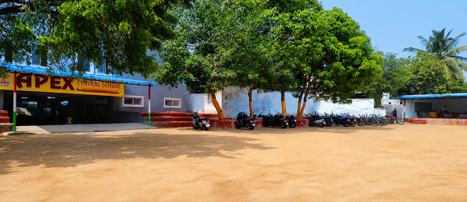 School Back