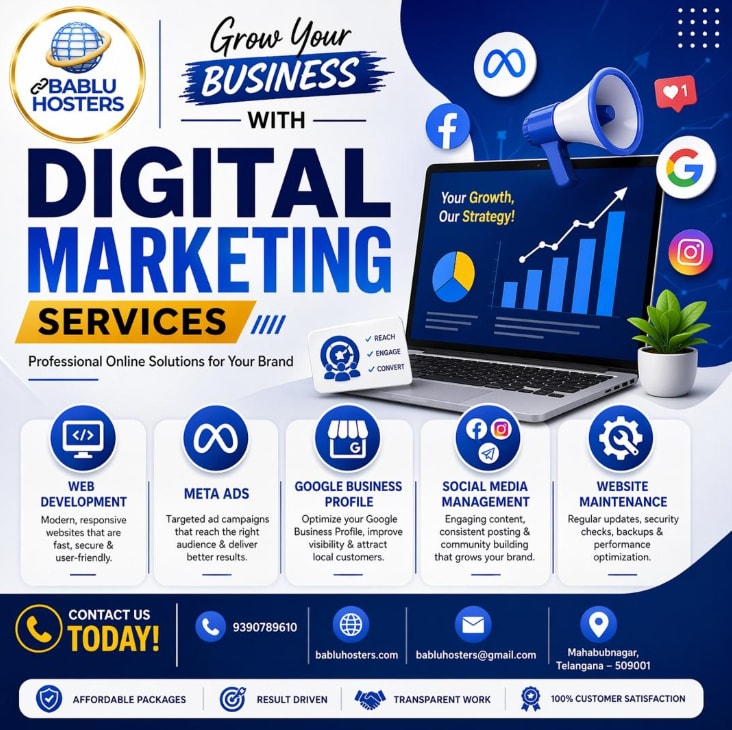 Bablu Hosters Digital Marketing Services