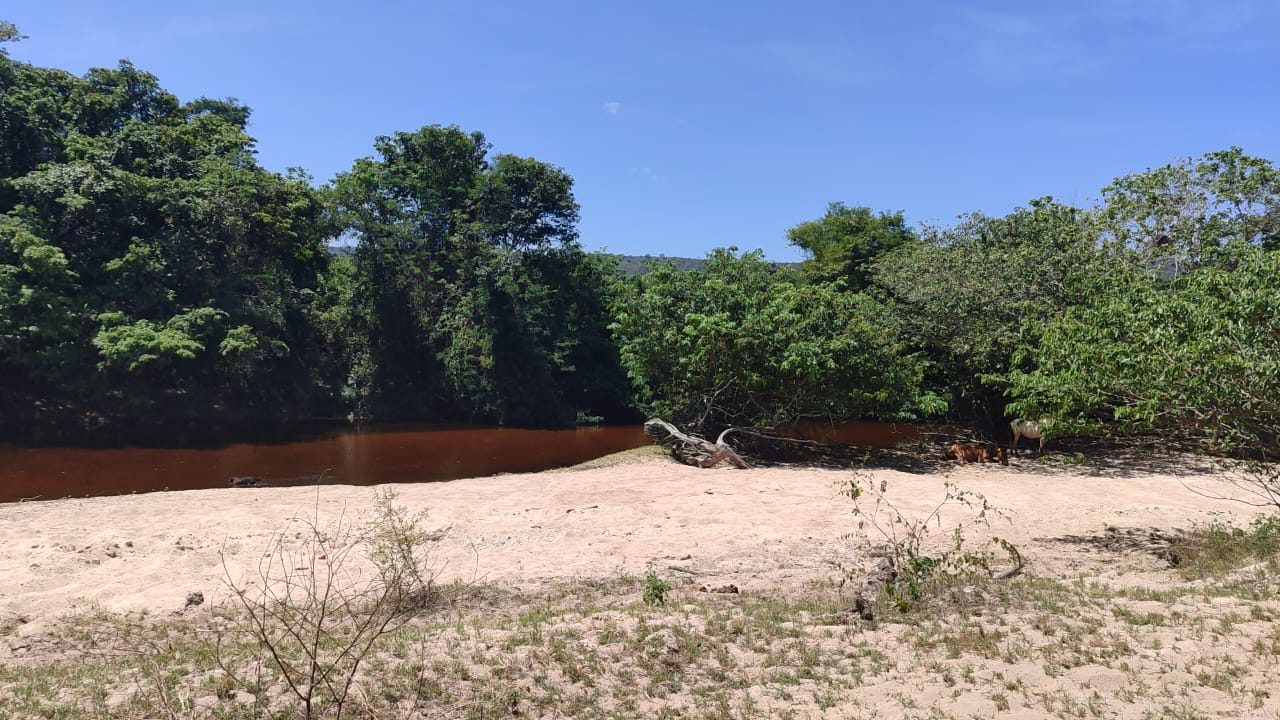 Foto 2 de Sítio na beira do rio