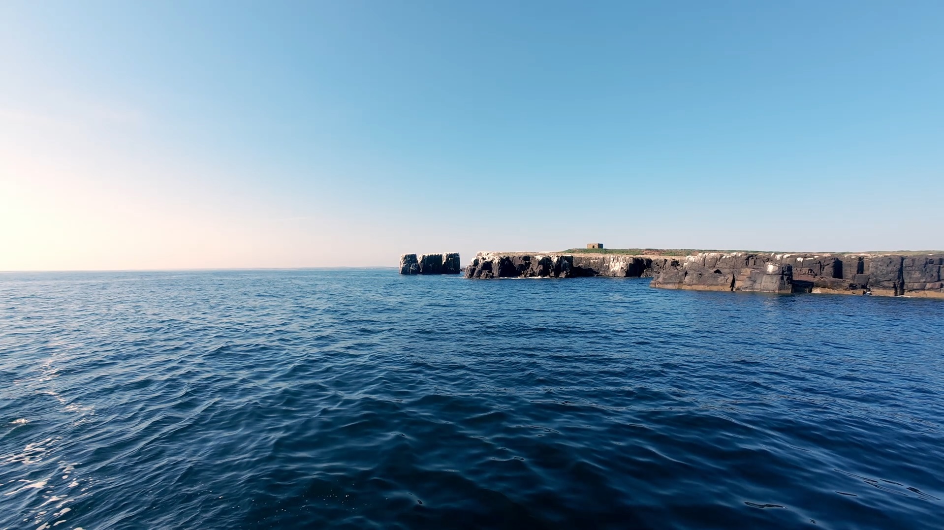 Farne Islands August 2025