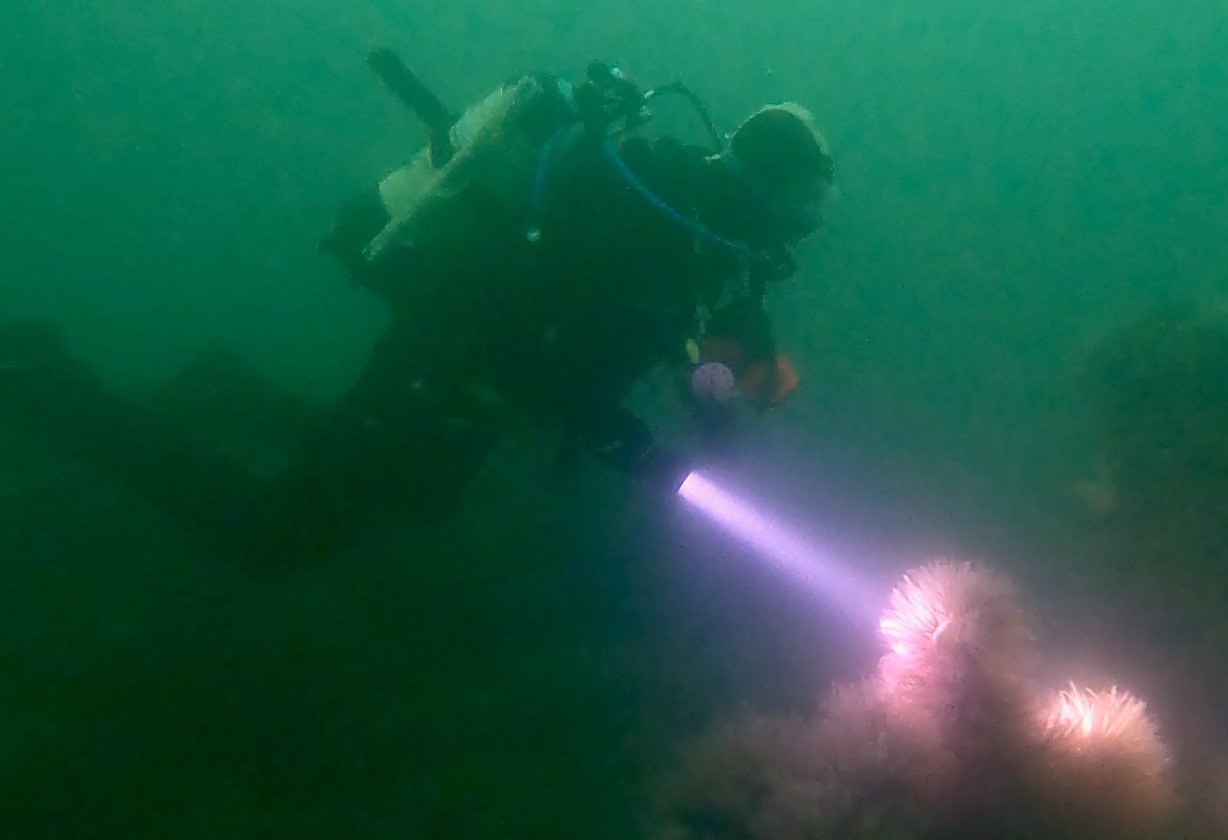 Diver with torch