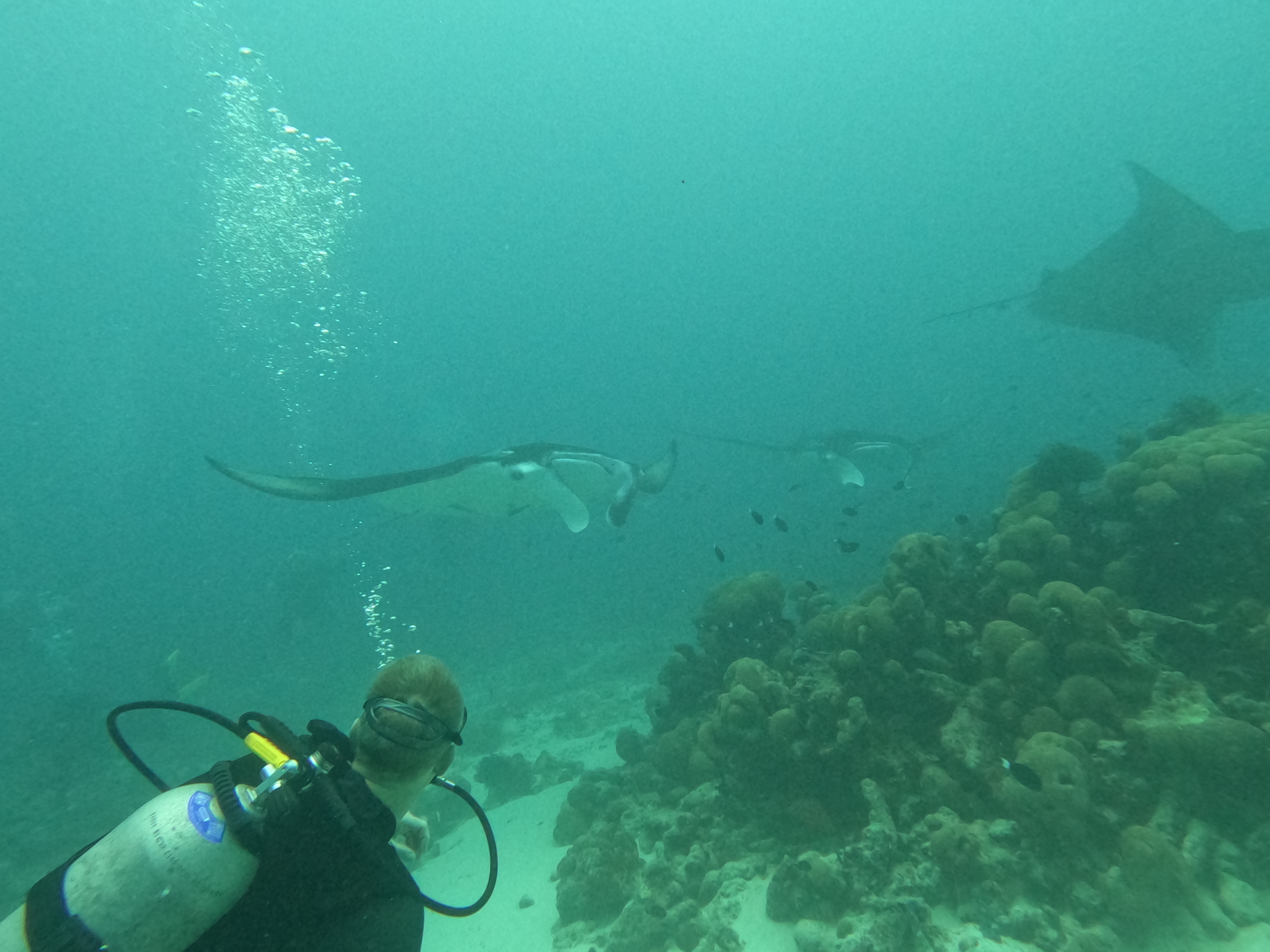 Richard with manta
