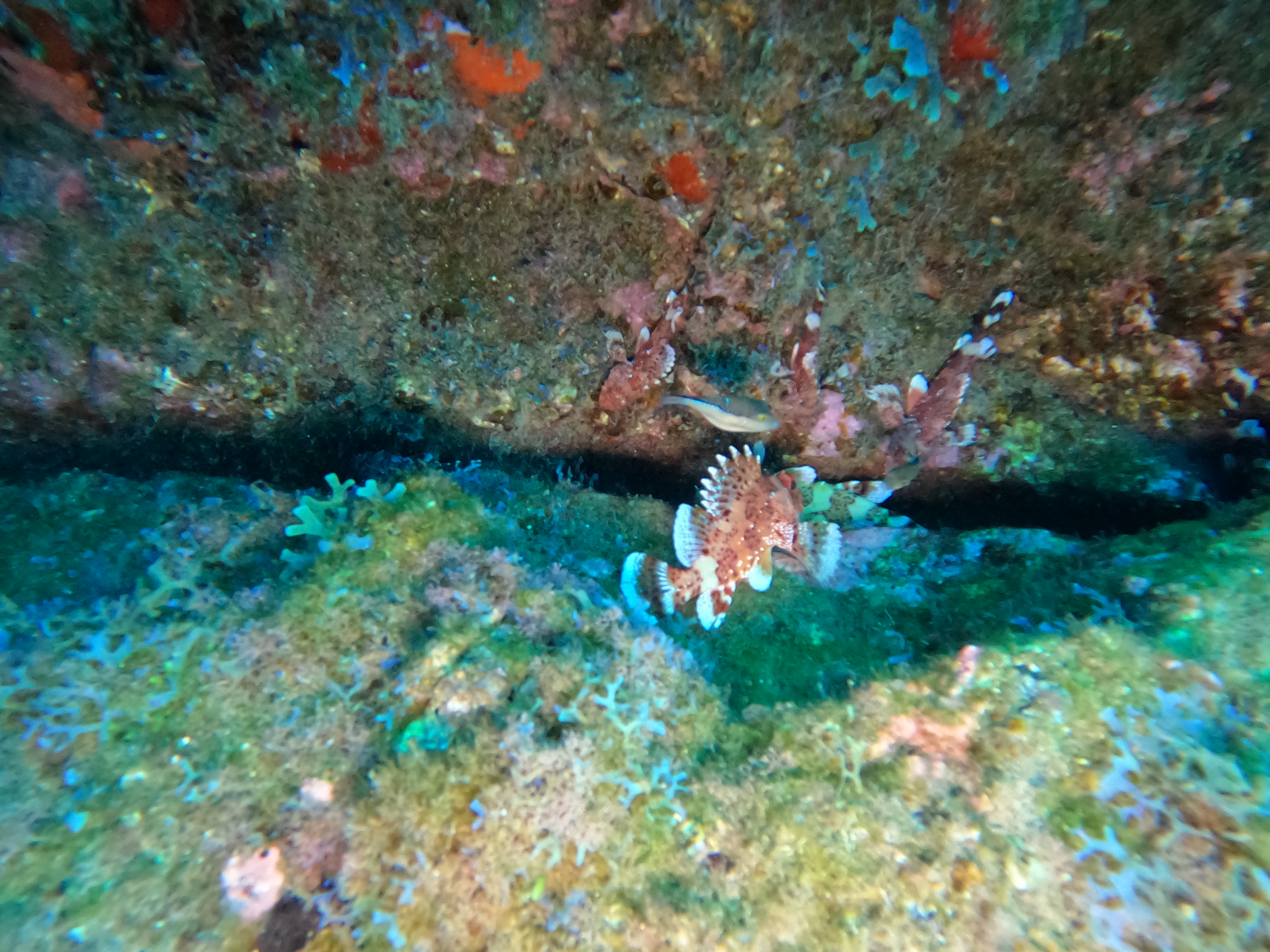 More diving