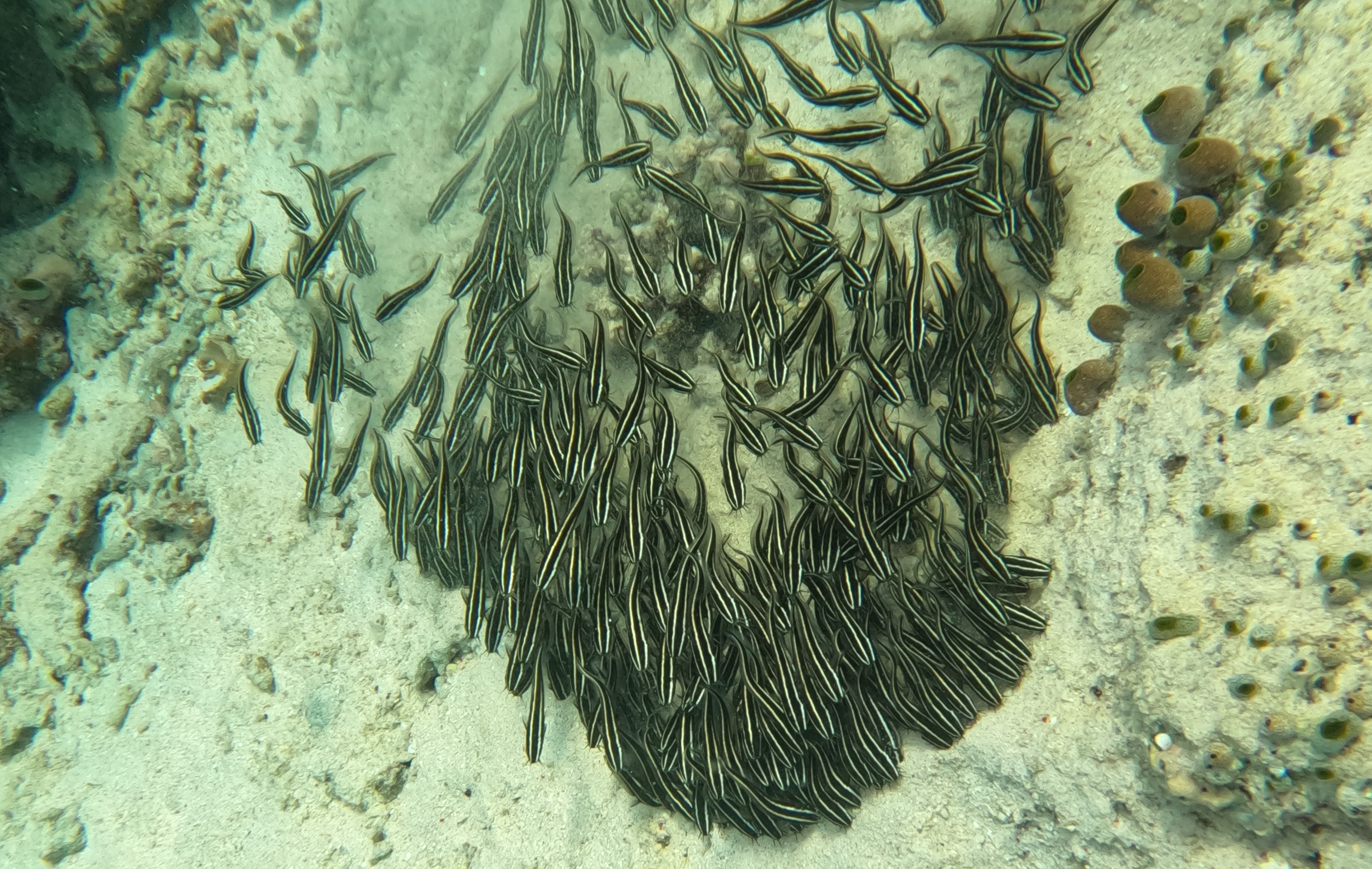Group photo