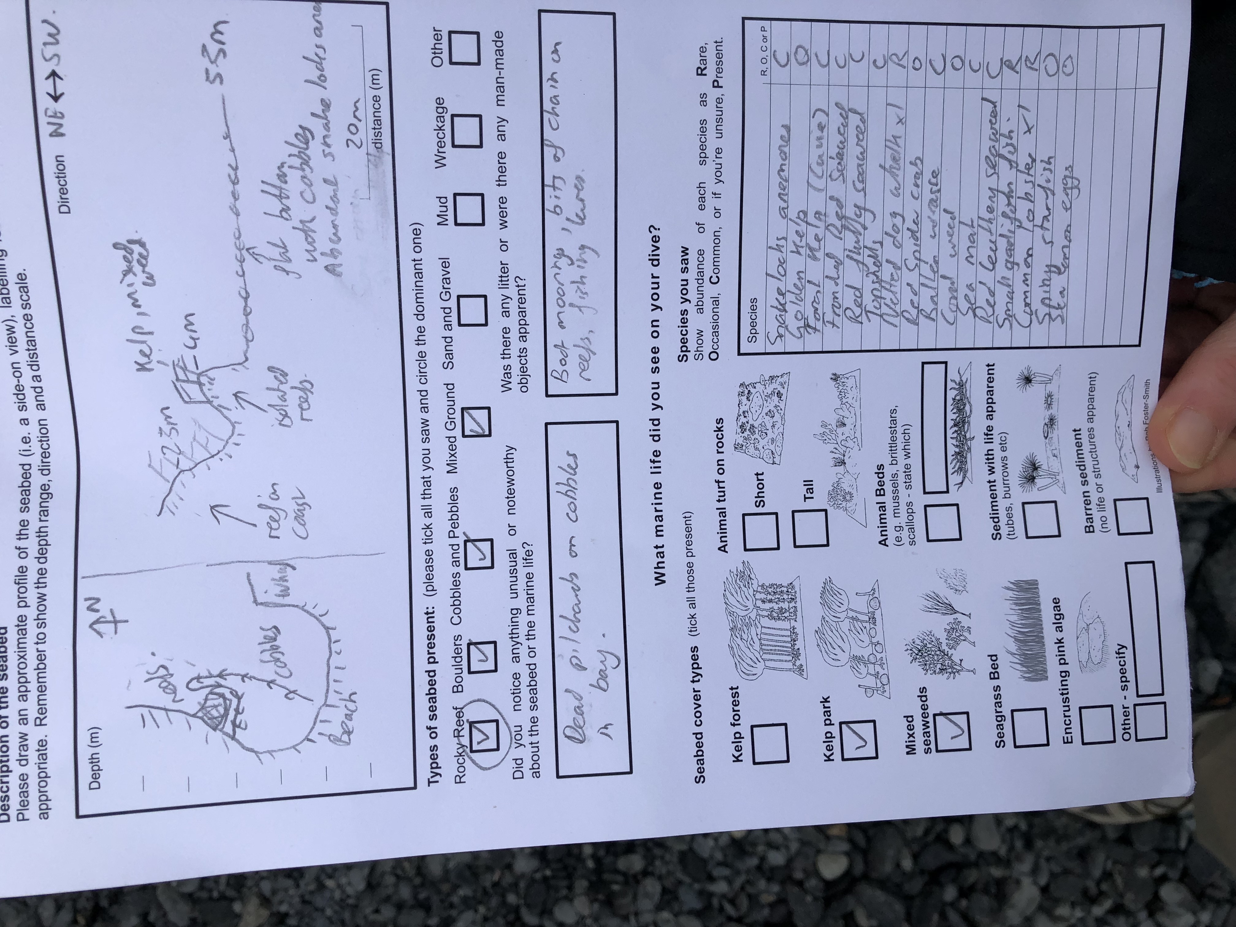 Marine guide