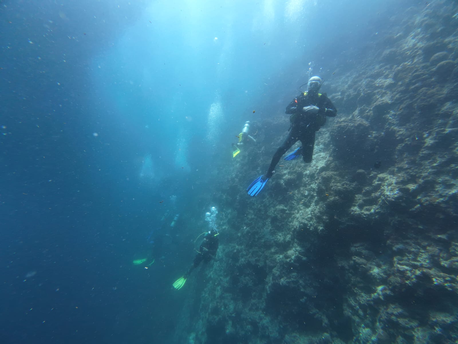 Wall divers