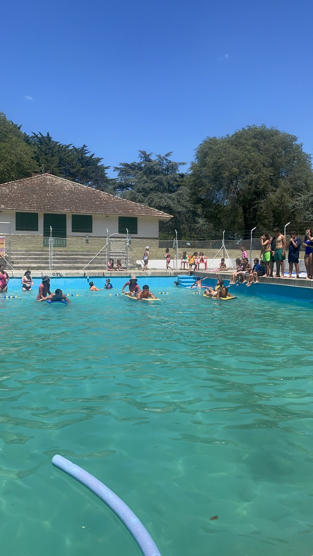 Actividad con tablas en la pileta de una colonia