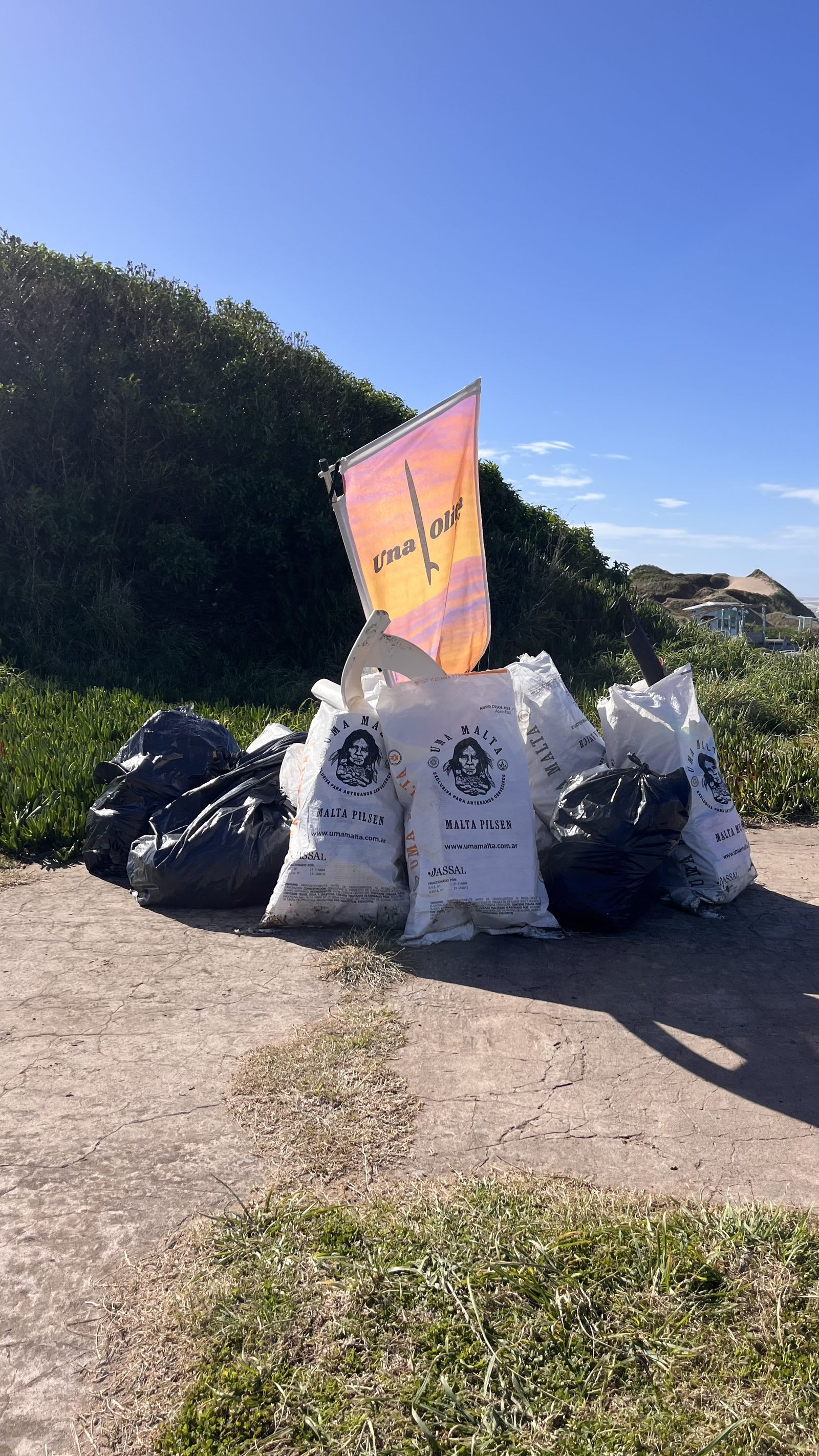 Jornada de limpieza de playa