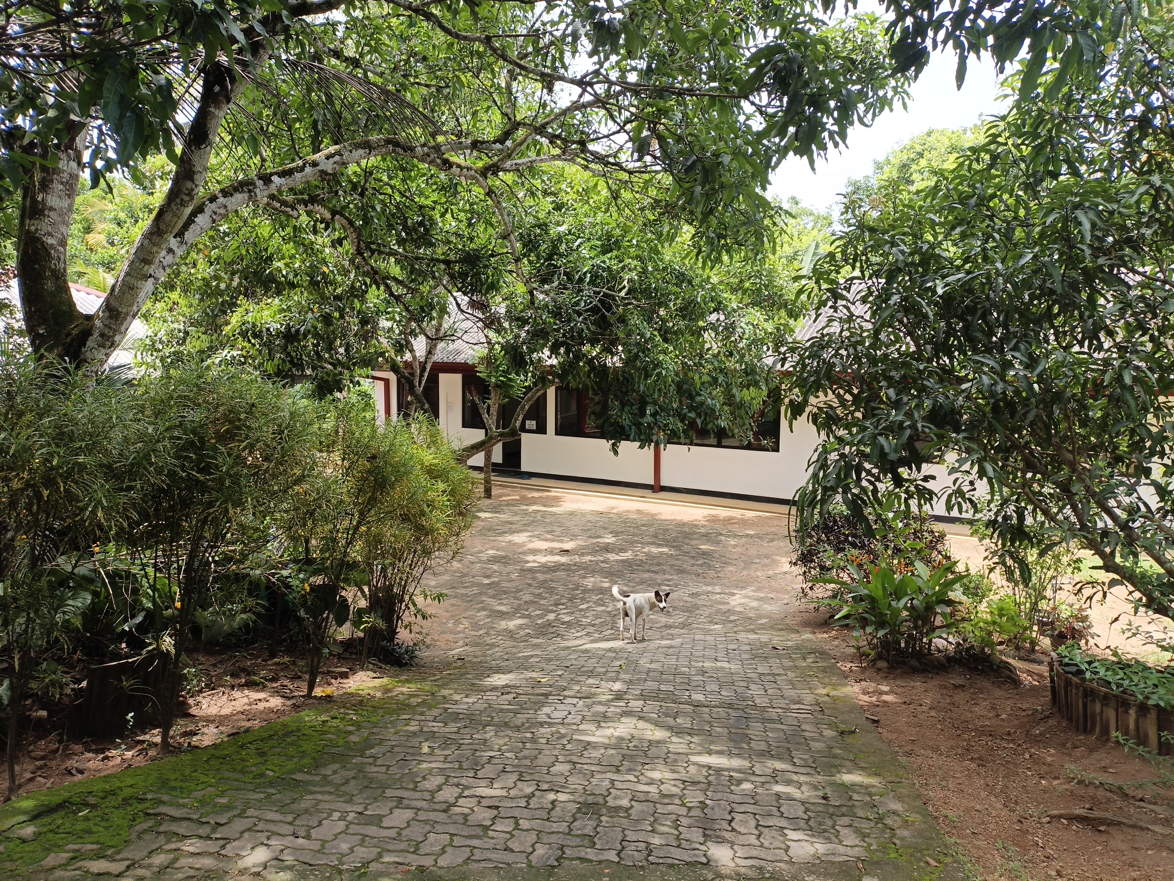 බෝධිරාජ ළමා ගම්මානය 2