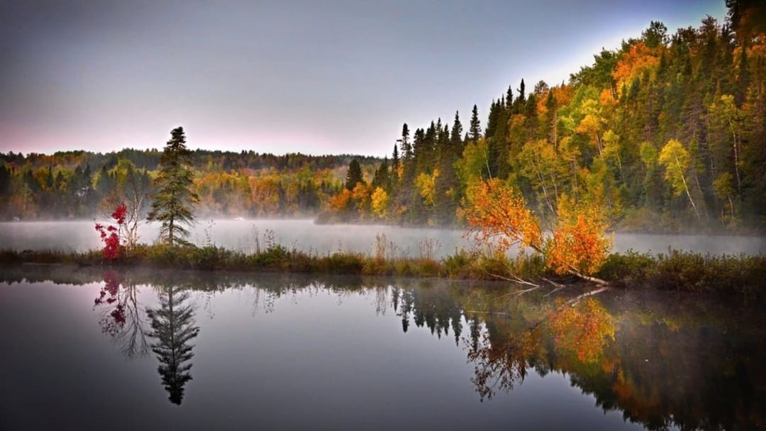 Autumn colours on a lake in Quebec