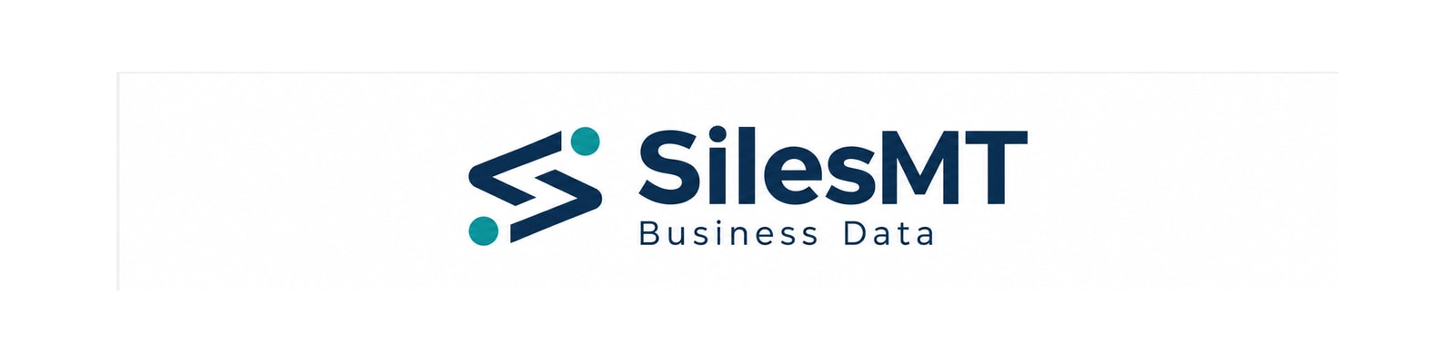 SilesMT Business Data