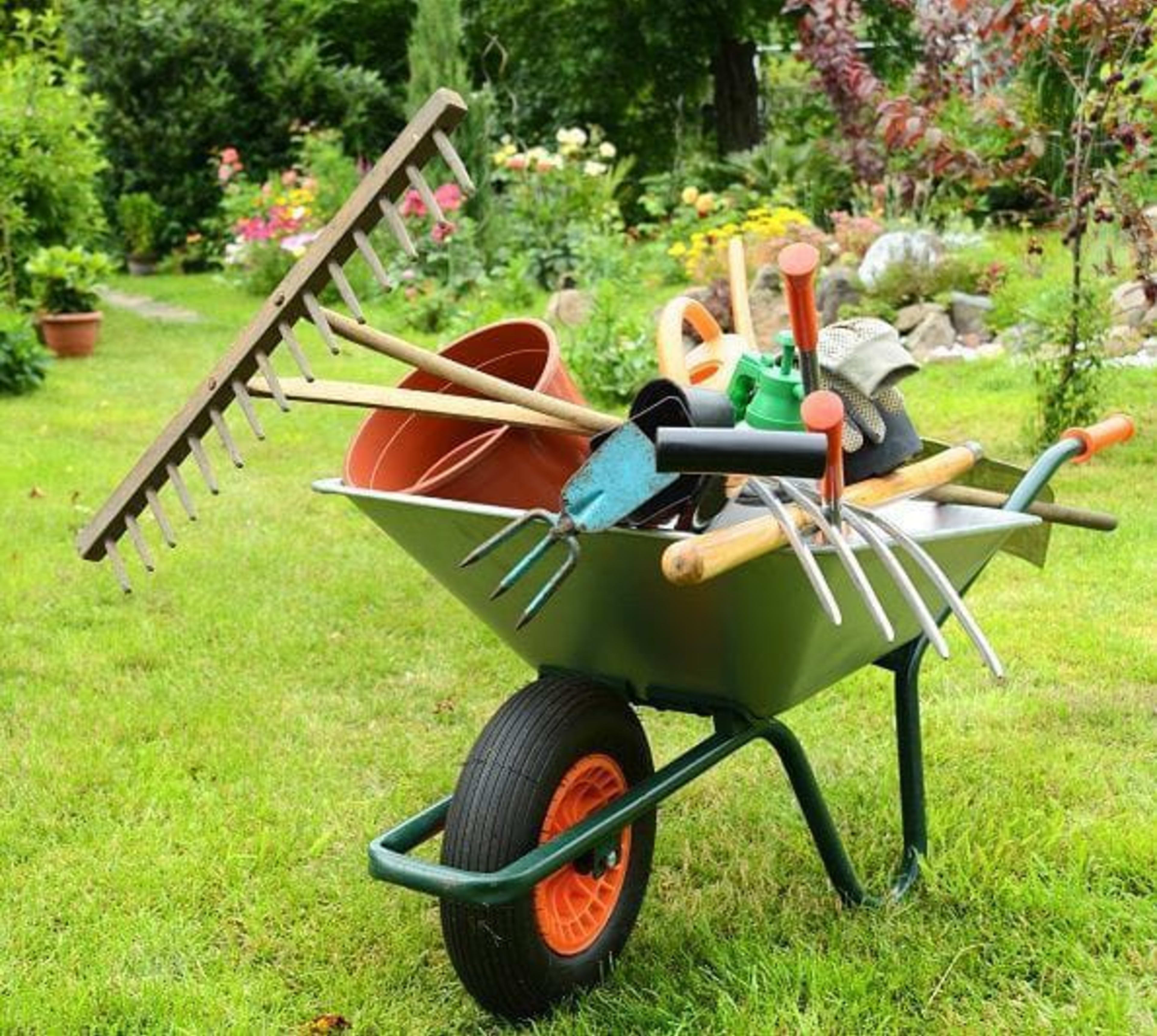 Landscaping & Gardening