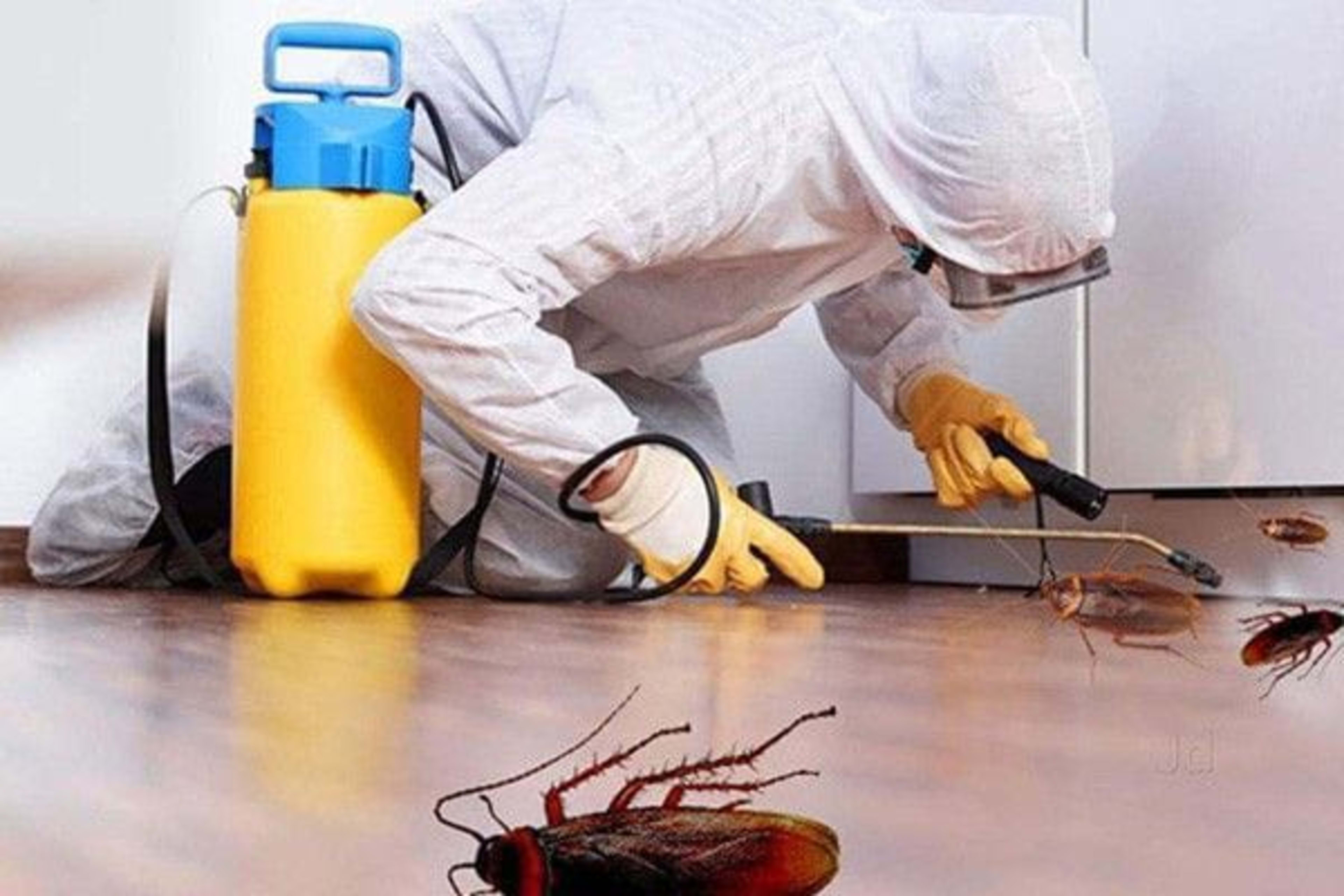 Fumigation & Pest Control