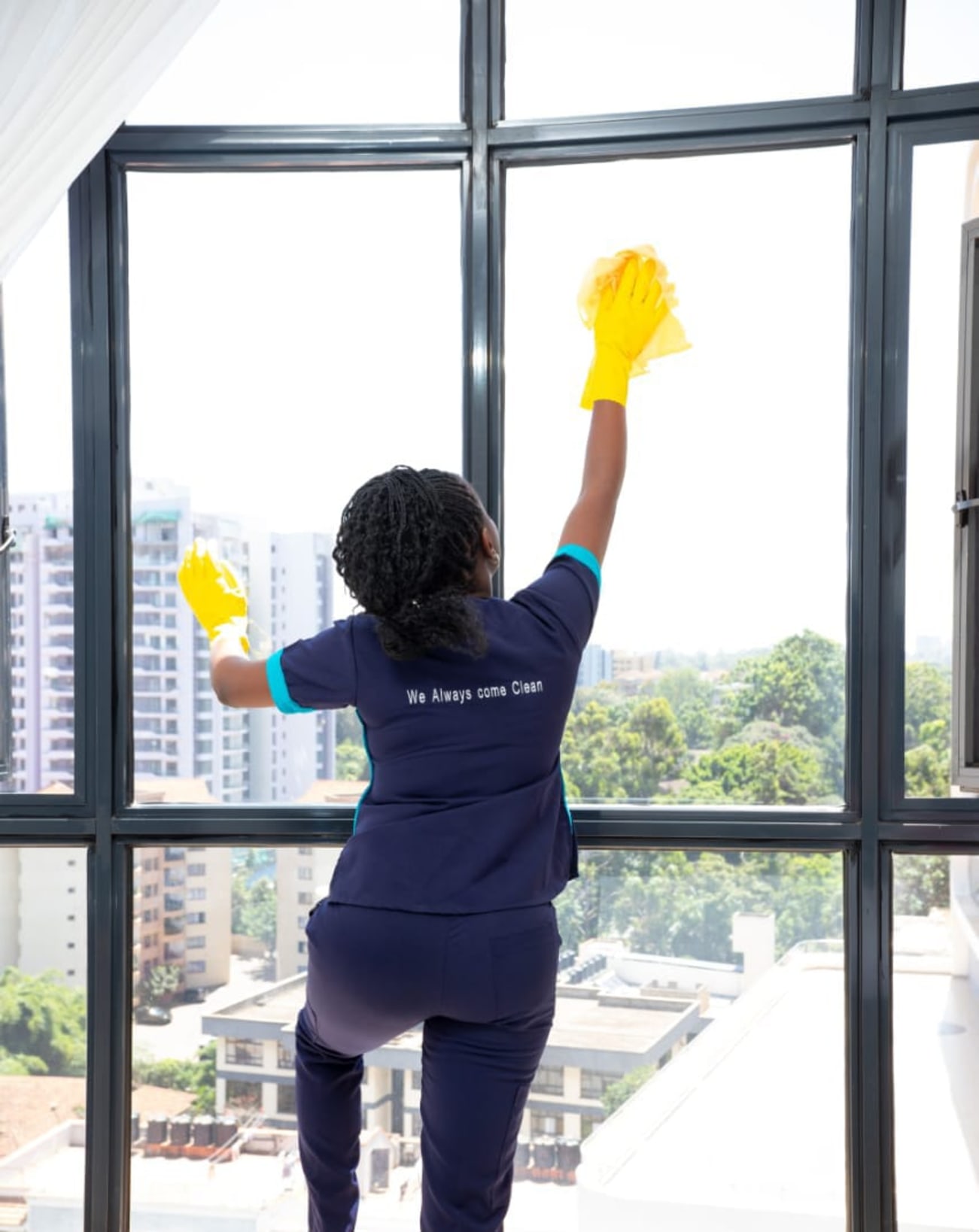 Professional Cleaning Showcase
