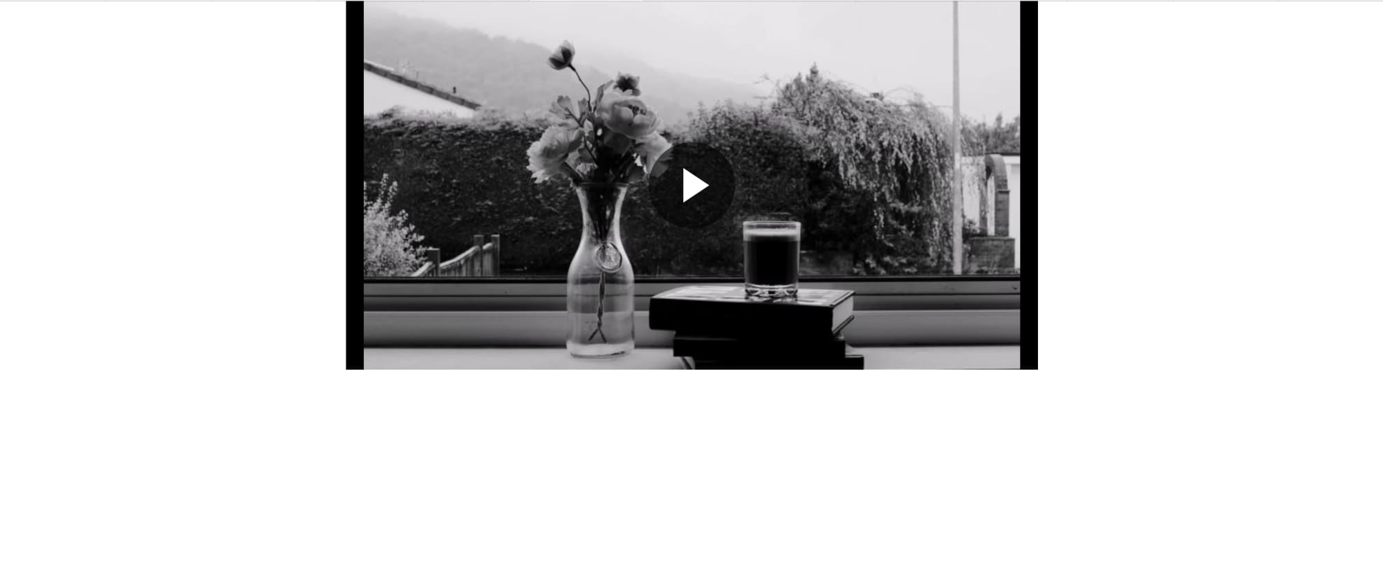Video player screenshot