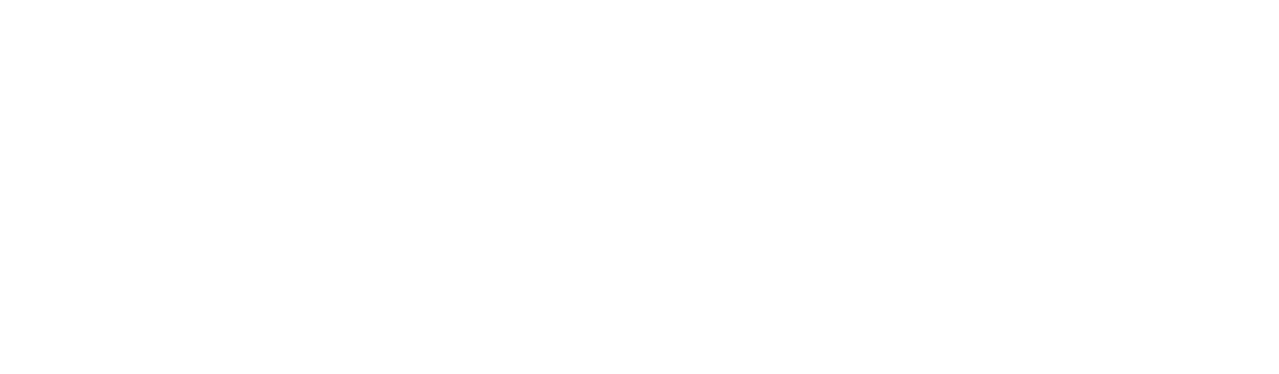 亮亮视野LEION