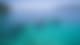 Fun In Perhentian Island With Tripfez Fun In Perhentian Island With Tripfez