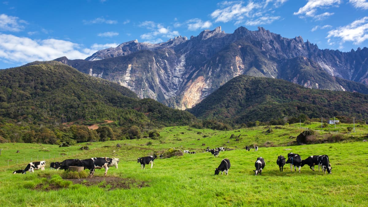 Funtastik KK & Kundasang Bersama Tripfez