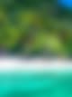 Koh Samui (Free & Easy) Bersama Tripfez