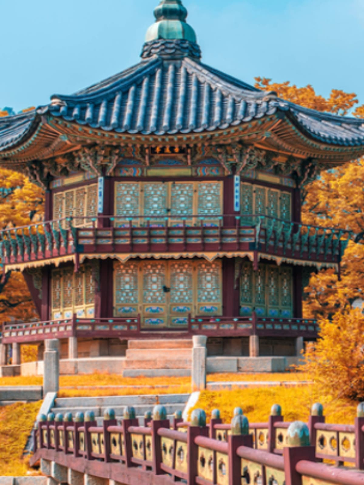 South Korea Tour Packages Holidays 2020 2021 Tripfez Travel