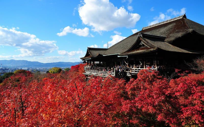 Kiyomizudera Halal Navi