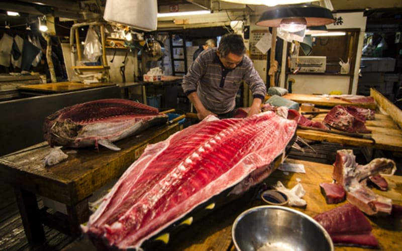 Tsukiji fish market halal navi