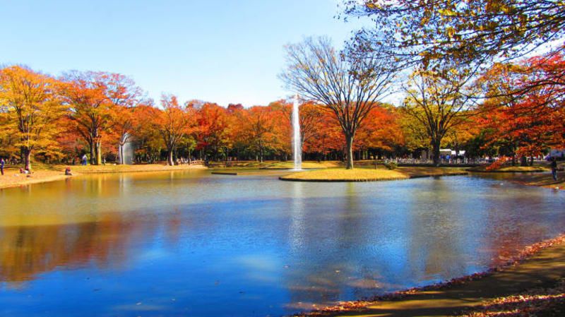 Yoyogi park tokyo halal navi