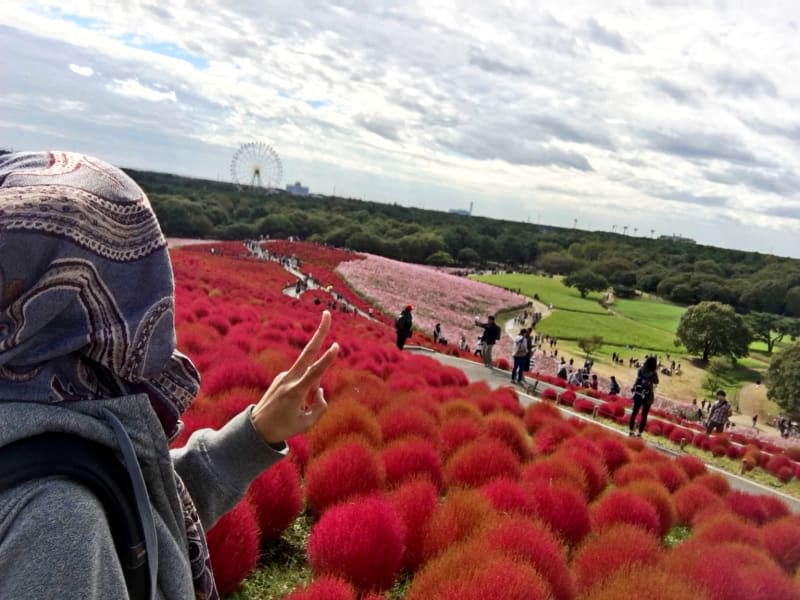 Hitachi Seaside Park