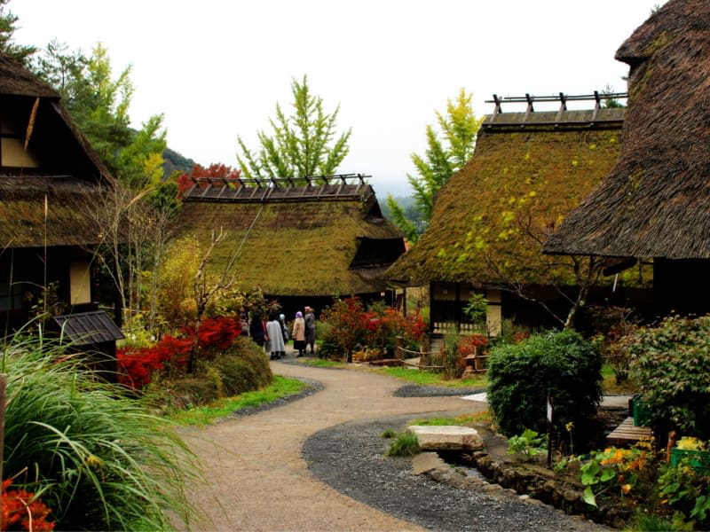 Traditional thatched roof houses