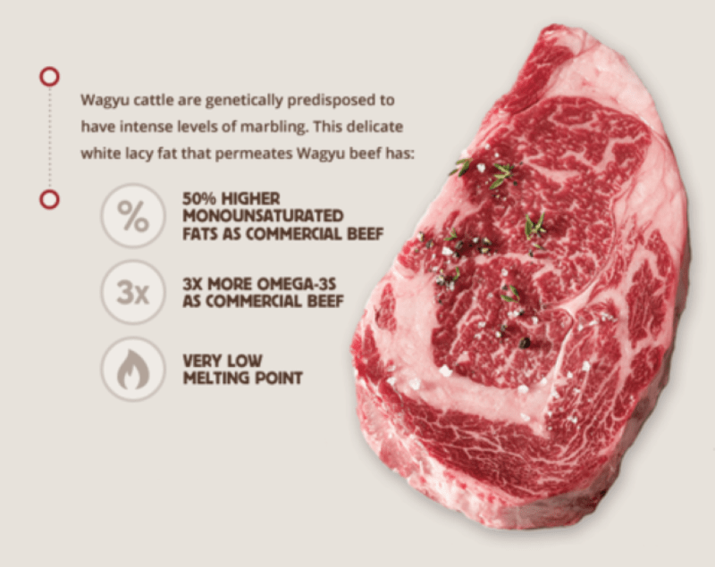 wagyu nutritient