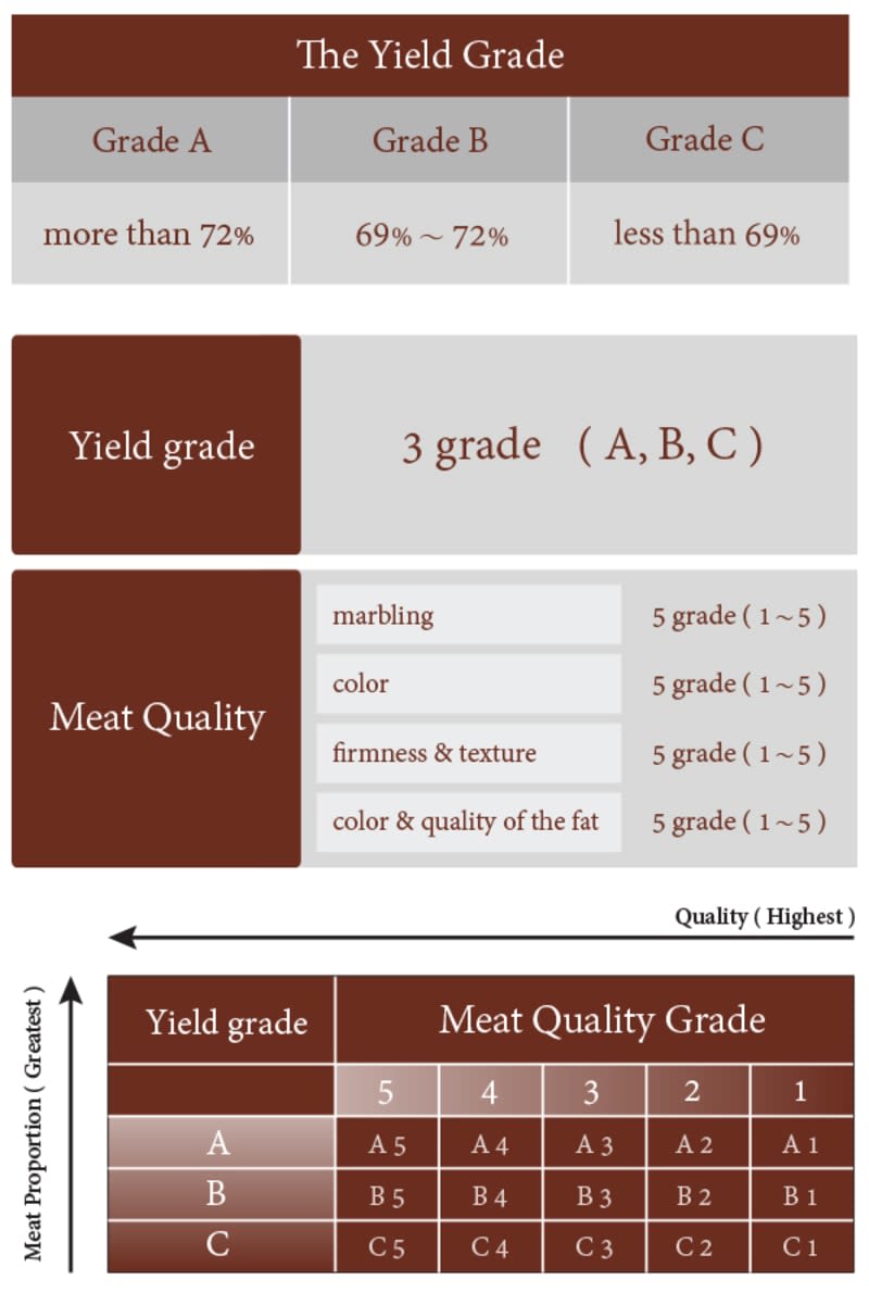 wagyu-grading