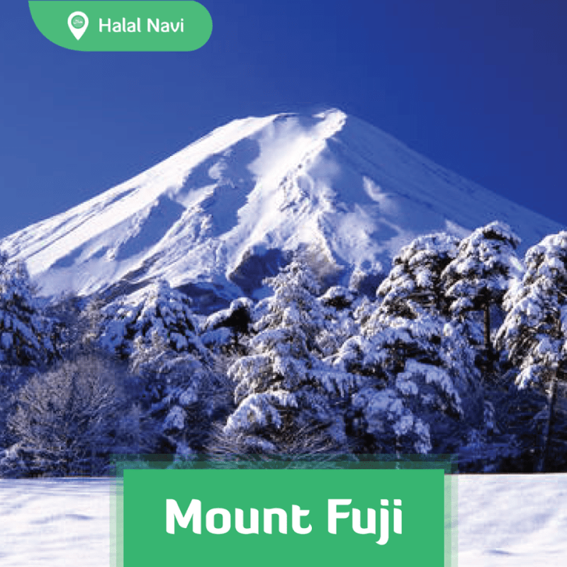 fuji