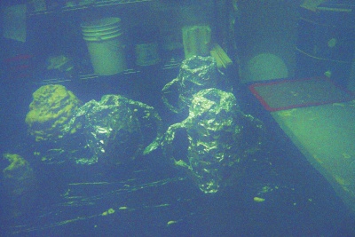 Half-Wet Growth Porcelain process design spray foam insulation