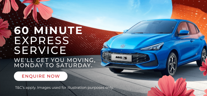 HALFWAY MG | 60 MINUTE EXPRESS SERVICE 
