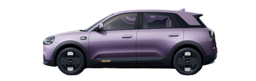 Chery Q