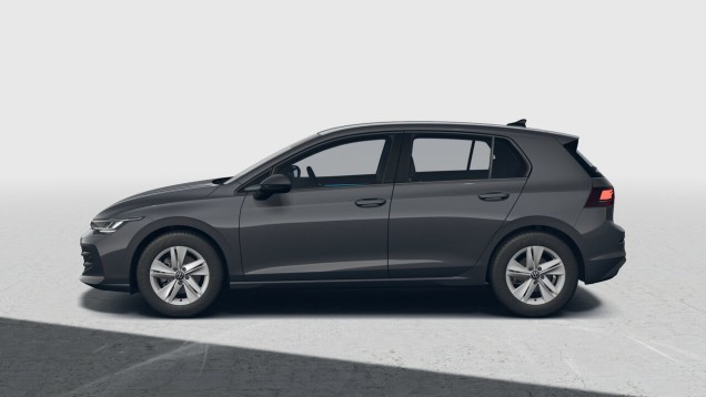 Dolphin Grey Metallic