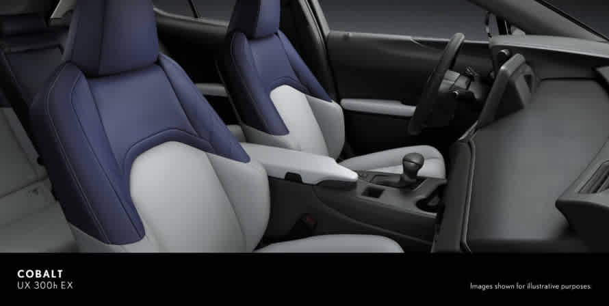 LEXUS UX 300h F-SPORT