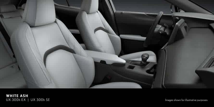 LEXUS UX 300h F-SPORT