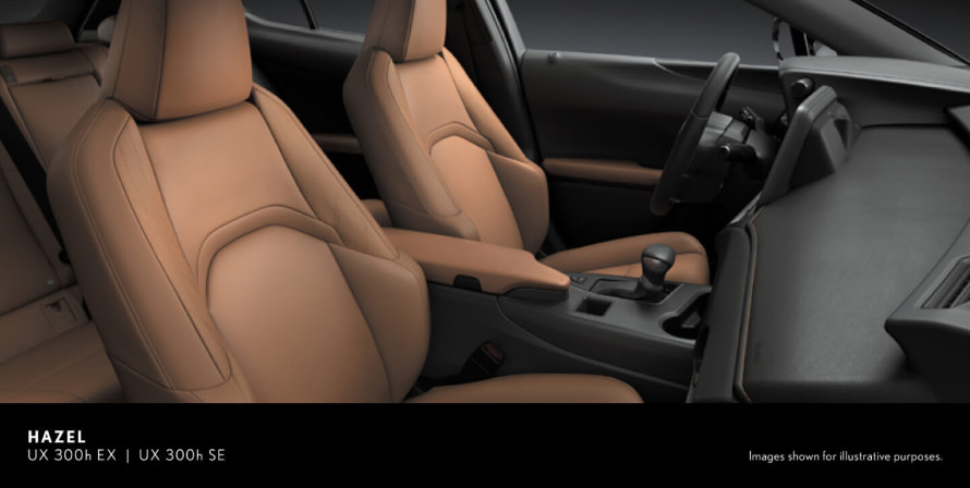 LEXUS UX 300h EX